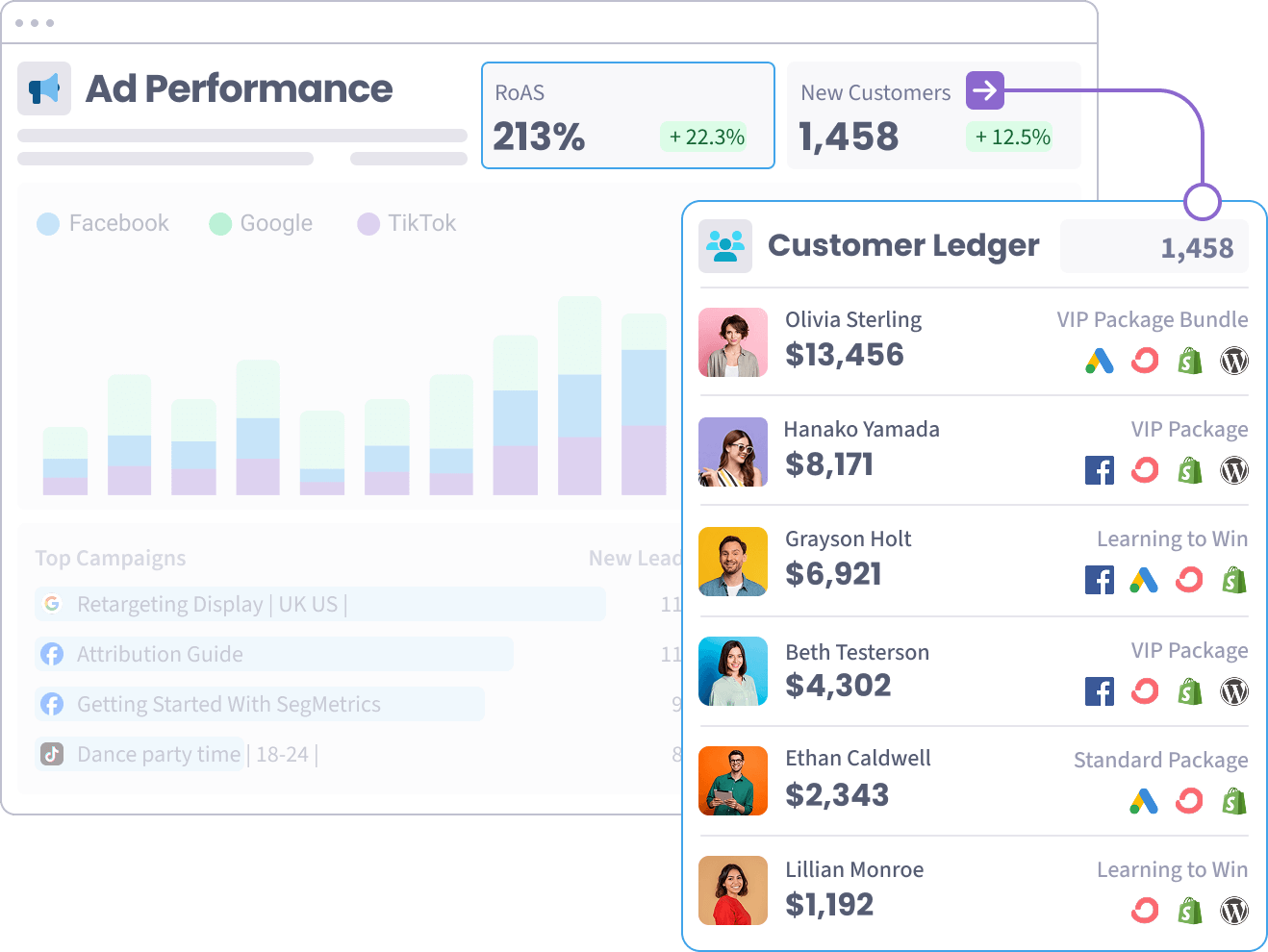 Activity Ledger report in SegMetrics